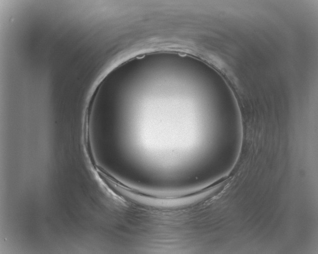 X0000071351520200606301639