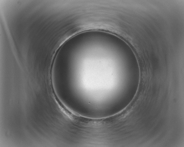 X0000071351521200606301639