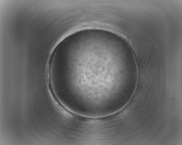 X0000071351522200606301639