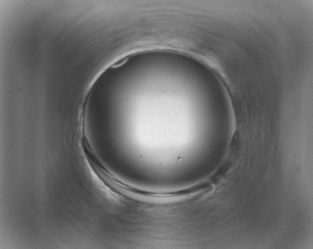 X0000071351524200606301639