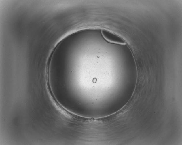 X0000071351526200606301639