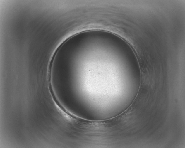 X0000071351527200606301639