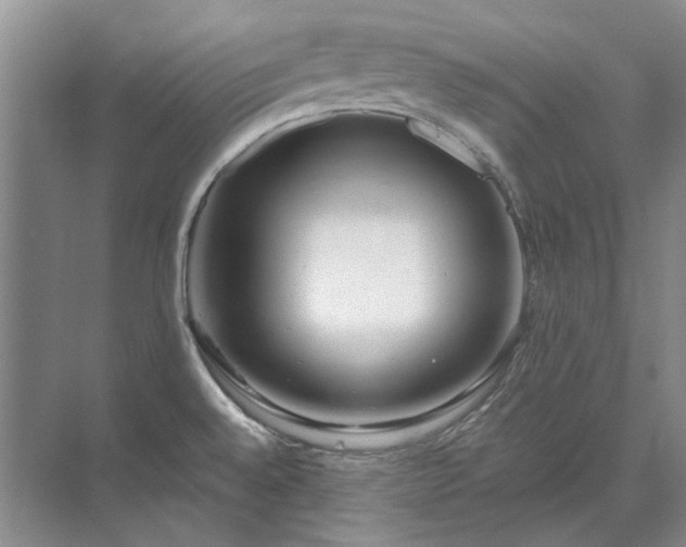 X0000071351528200606301639