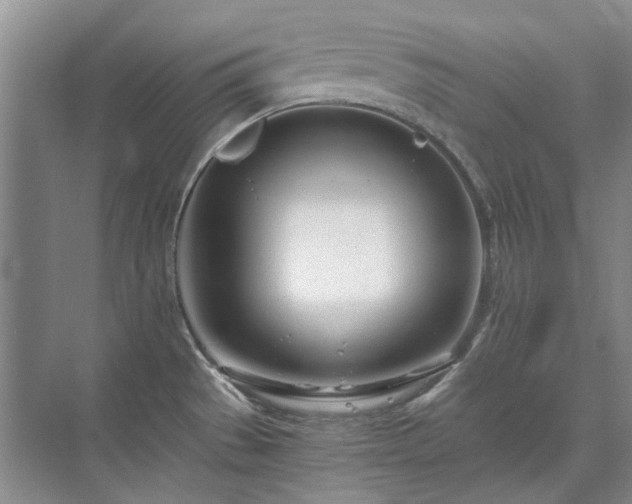 X0000071351529200606301639