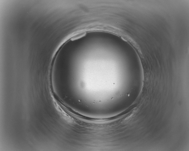 X0000071351530200606301639