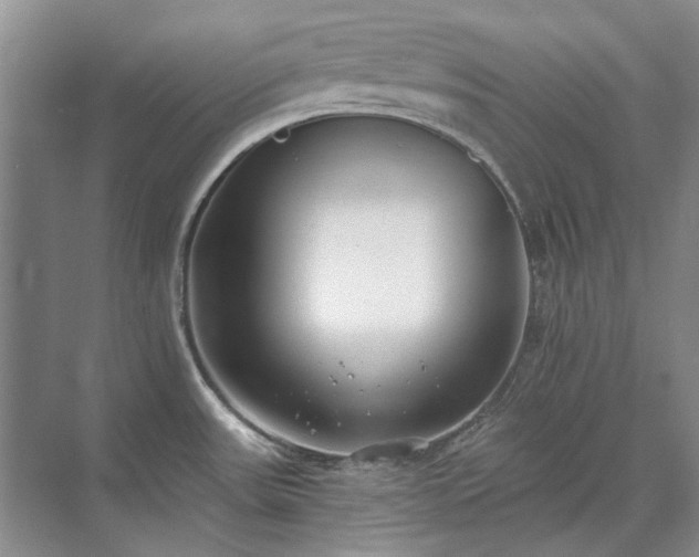 X0000071351531200606301639