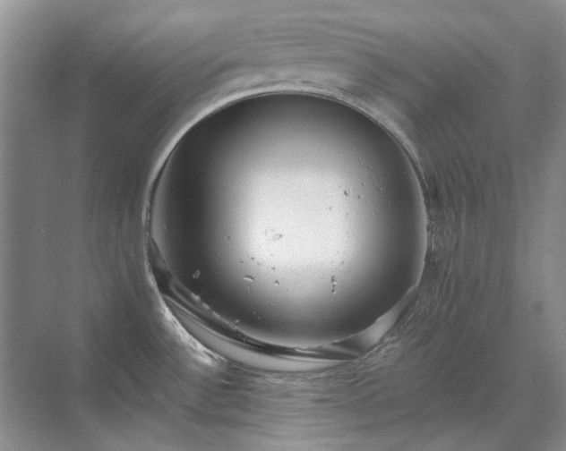 X0000071351532200606301639