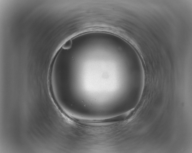 X0000071351533200606301639