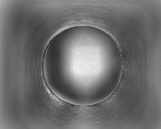 X0000071351534200606301639