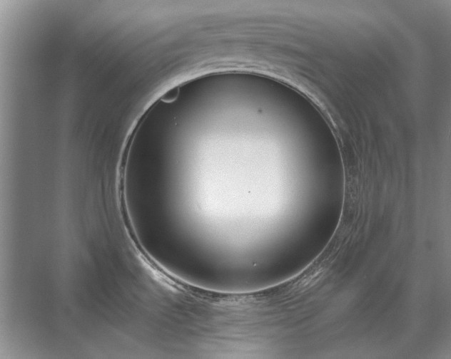 X0000071351535200606301639