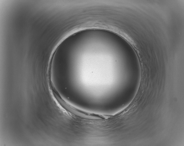 X0000071351536200606301639