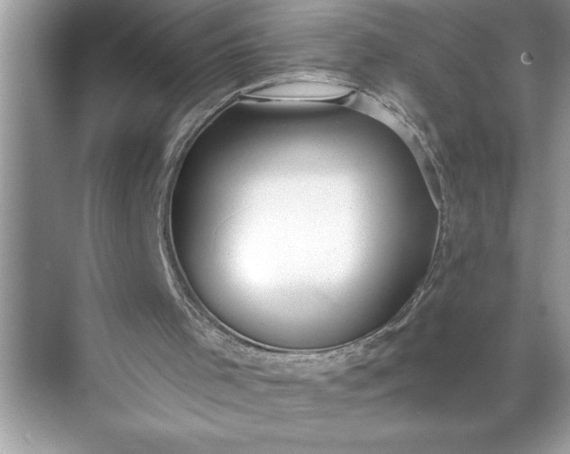 X0000071350001200607071736