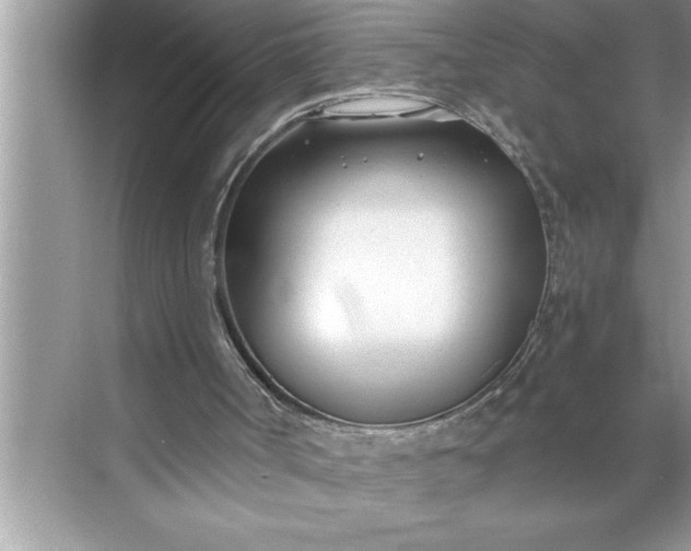 X0000071350002200607071736