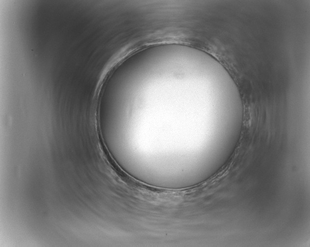 X0000071350004200607071736