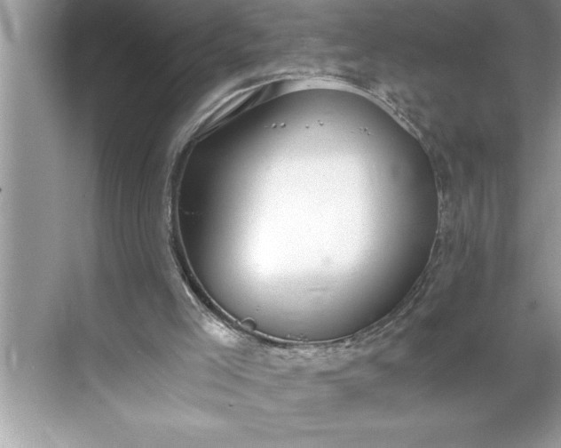 X0000071350005200607071736