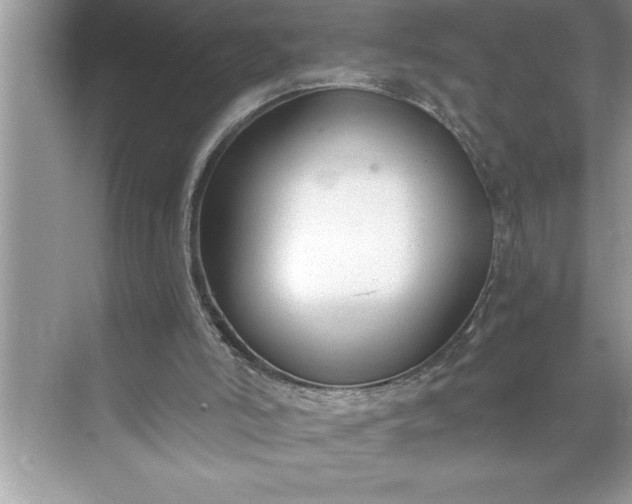 X0000071350006200607071736