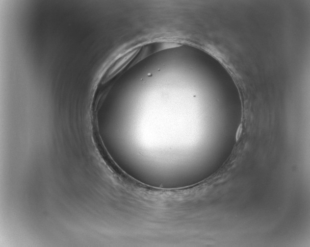 X0000071350007200607071736