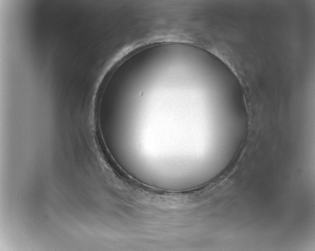 X0000071350008200607071736