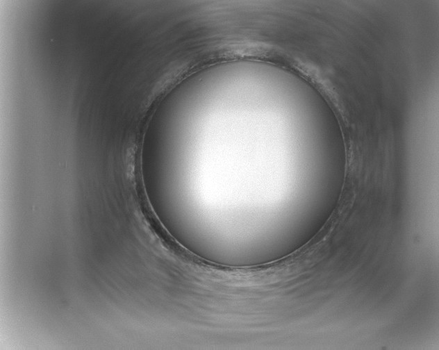 X0000071350010200607071736