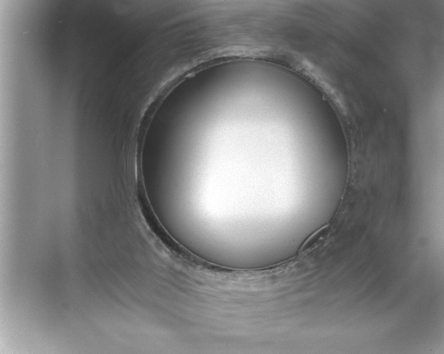 X0000071350011200607071736