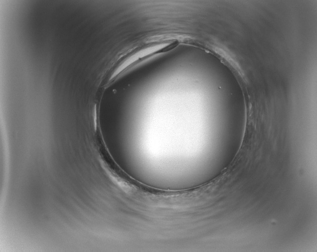 X0000071350013200607071736