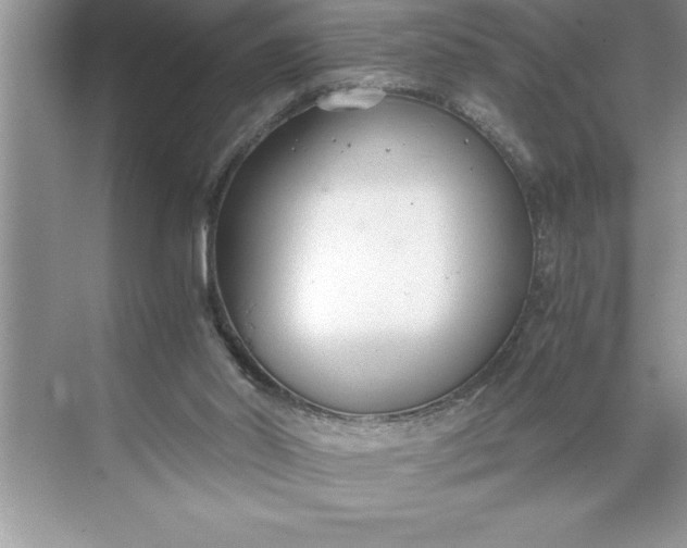 X0000071350014200607071736