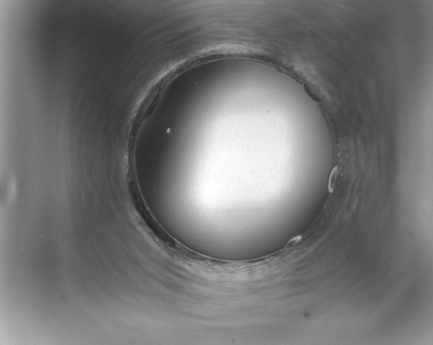 X0000071350015200607071736