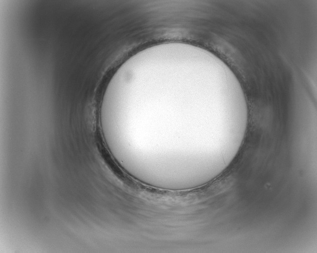 X0000071350016200607071736