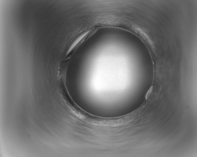 X0000071350017200607071736