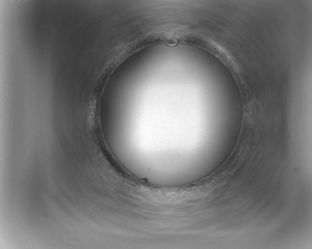 X0000071350018200607071736