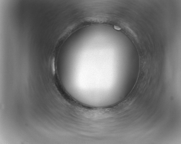 X0000071350020200607071736