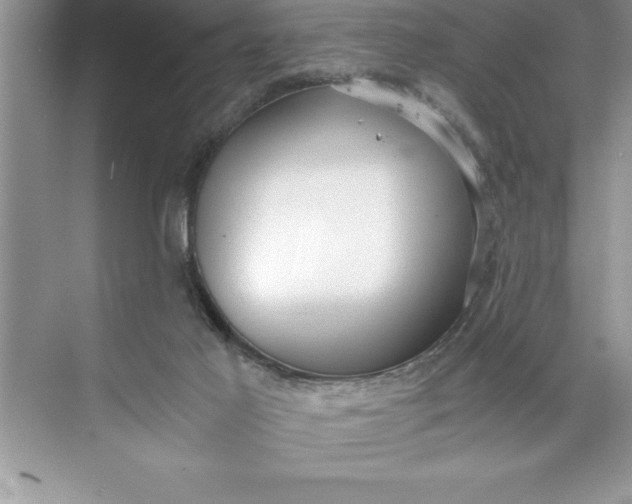 X0000071350021200607071736