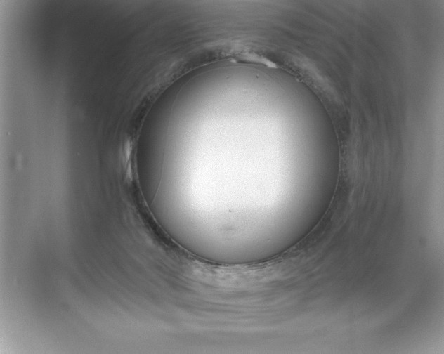 X0000071350022200607071736