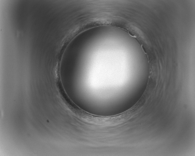 X0000071350023200607071736