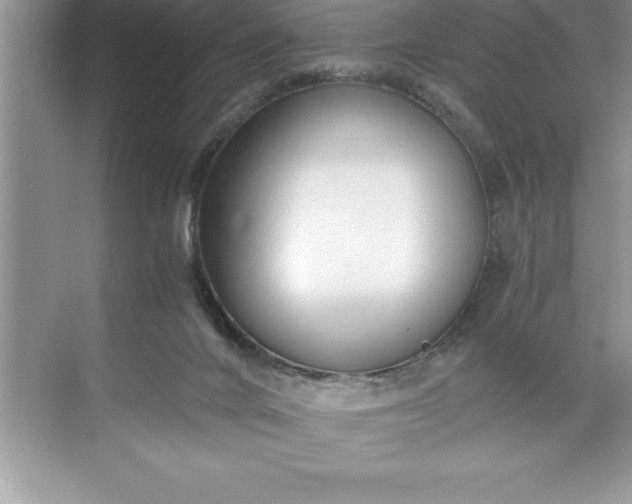 X0000071350024200607071736