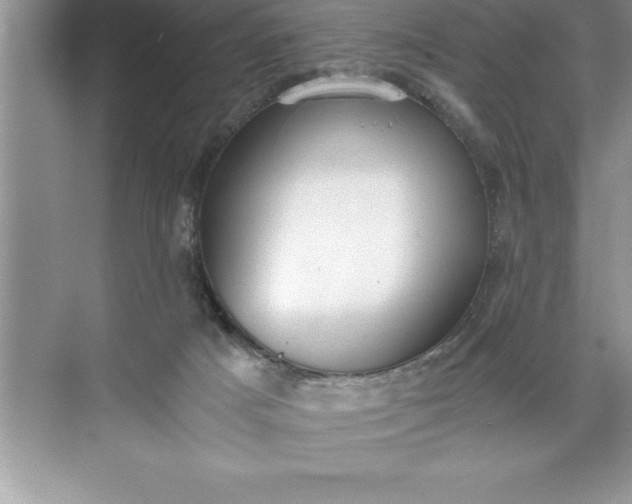 X0000071350025200607071736