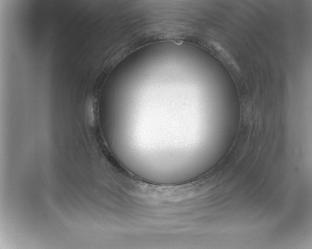 X0000071350026200607071735