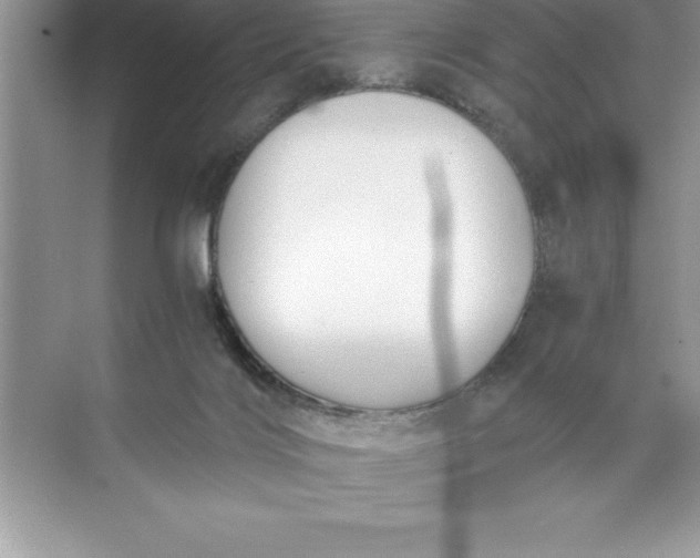 X0000071350028200607071735