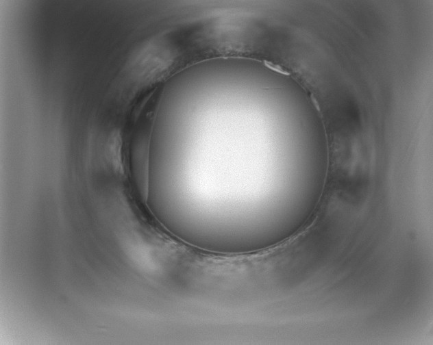 X0000071350029200607071735