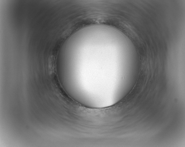 X0000071350030200607071735