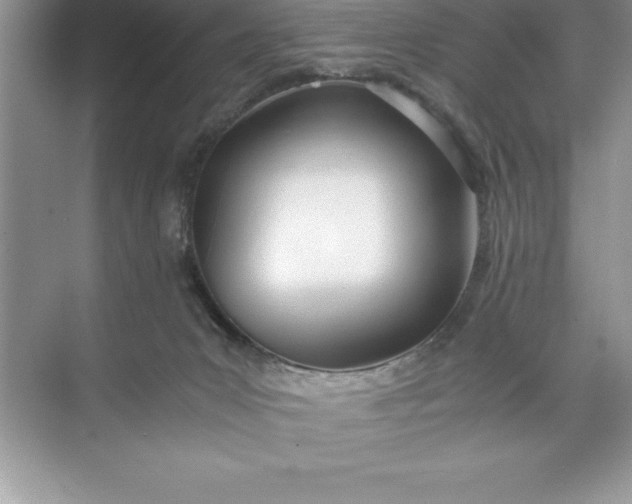 X0000071350031200607071735