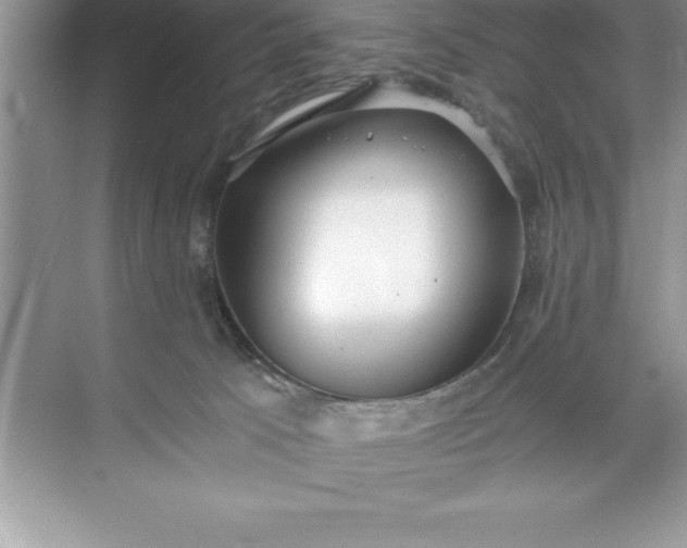 X0000071350033200607071735