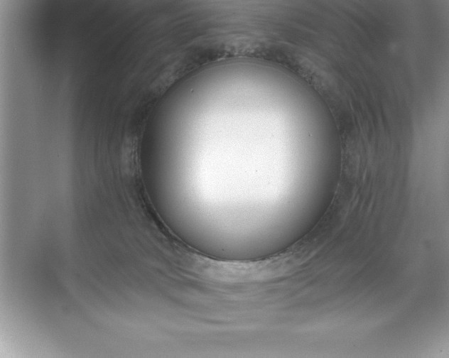 X0000071350034200607071735