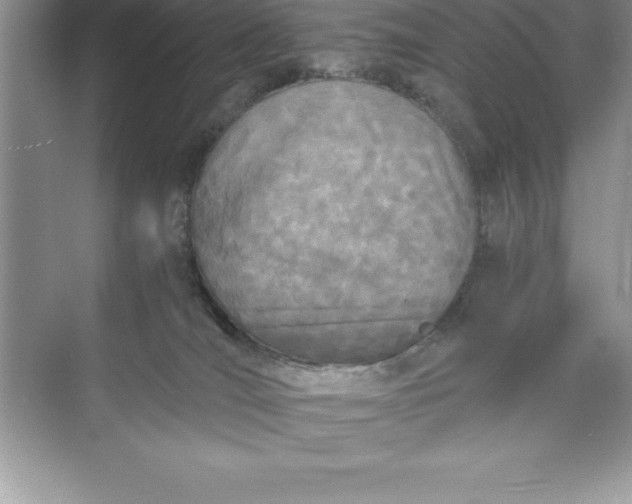 X0000071350036200607071735