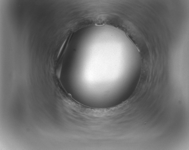 X0000071350037200607071735