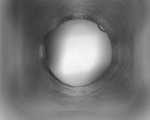 X0000071350038200607071735