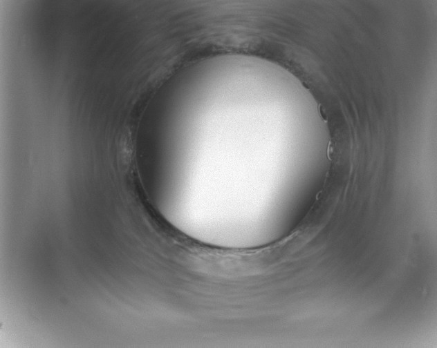 X0000071350040200607071735