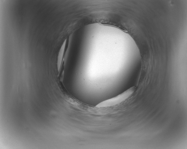 X0000071350041200607071735