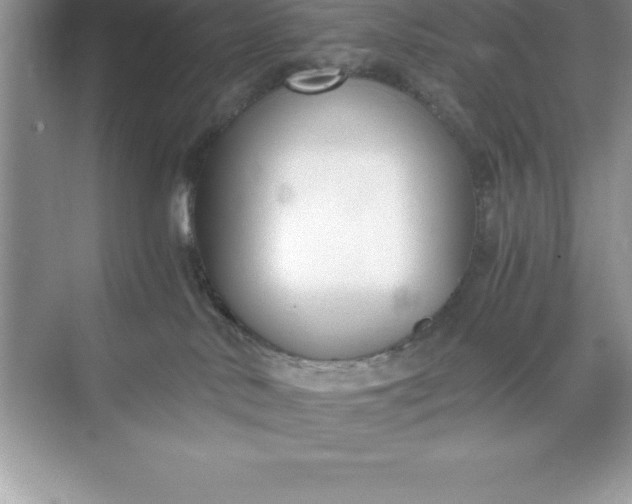 X0000071350042200607071735