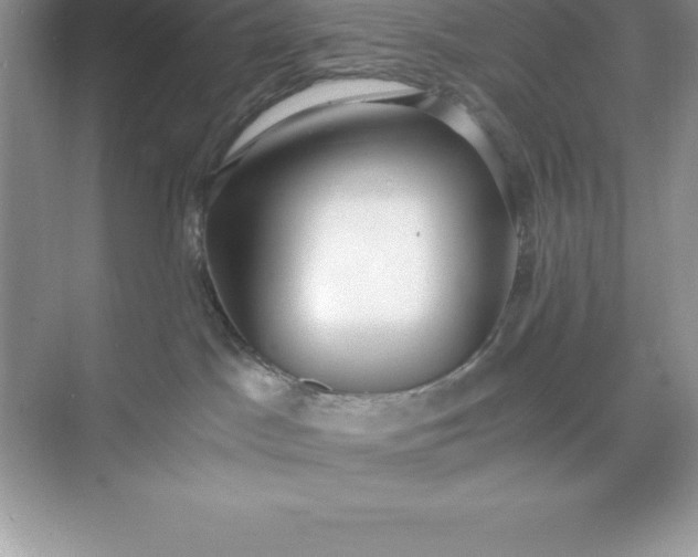 X0000071350045200607071735